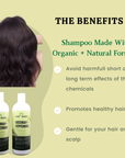 Shampoo, Conditioner & Hair Oil-Set of 3 Items