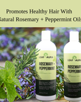 Shampoo & Conditioner (Rosemary + Peppermint)